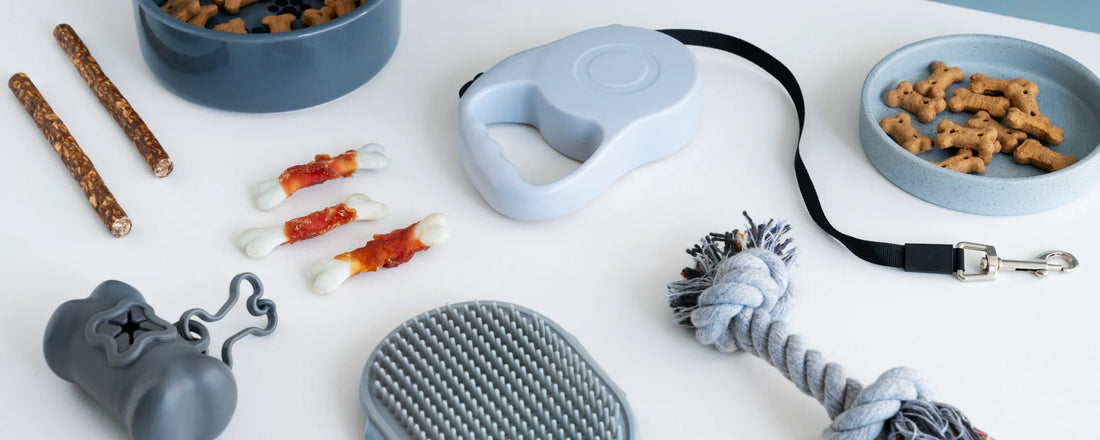 10 Must-Have Pet Products Every Dog and Cat Parent Needs in 2025