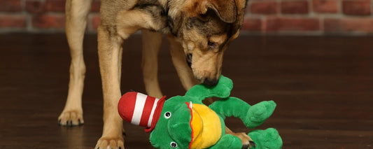 The Ultimate Guide to Choosing Safe and Healthy Toys for Your Pets