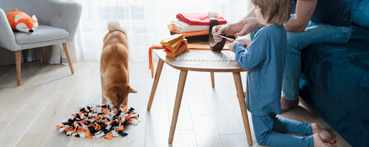 From Stress to Happiness: How the Right Pet Accessories Can Improve Your Pet’s Life