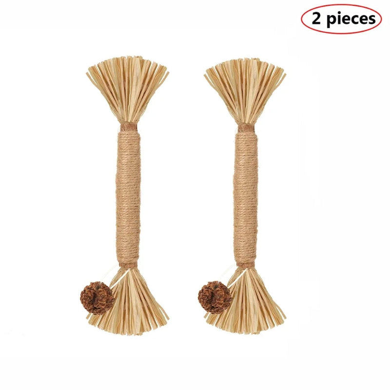 Natural Matatabi Pet Cat Snacks Sticks Cleaning Tooth Catnip Cat Toys Actinidia Silvervine Pet Toy for Cats Pet Accessories