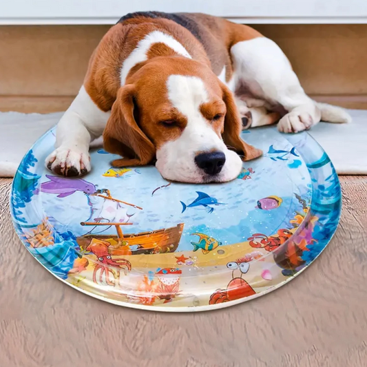 Cooling Pet Bed for Hot Days – Perfect for Cats & Small Dogs